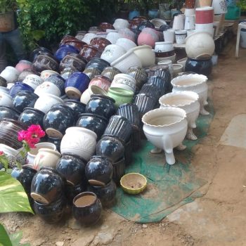 WhatsApp Image 2025-10-04 at 13.21.13_e93233a8